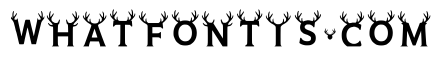 Chass Regular