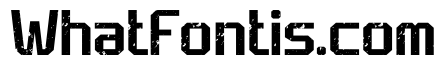Champion Athletic Grunge