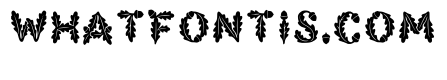 Centr Regular