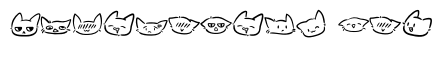 Cat Face Feelings