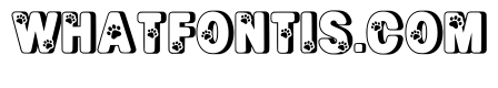 Cat Bold Regular
