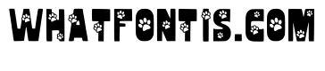 Cat Birthday Regular