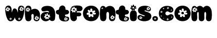 BunnyDaisy