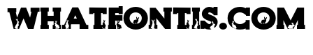 PN Bunny Shadow Serif