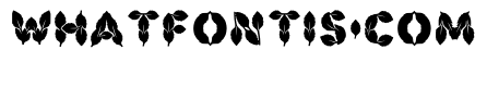 Brody Regular