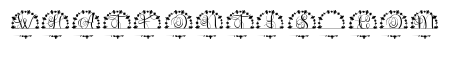 Brixtonor Split Monogram