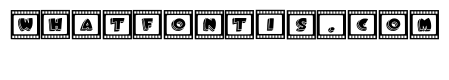 Box Film Regular