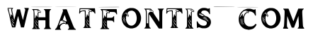 Borer Regular