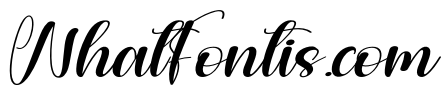 Booklove Stylish