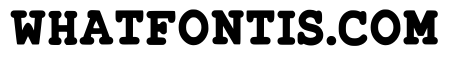 Bold Writer Regular