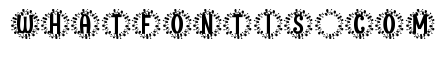 Blynford Monogram