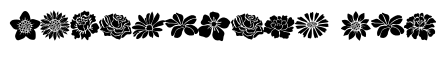 Blooming flowers Sticking
