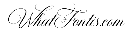 Barleina Calligraphy Italic Reg