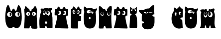 Baby Cat Eyes