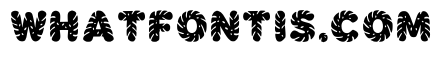 Ayron Regular