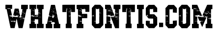 Authentic Sport Regular