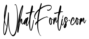 Authentic Brush Regular