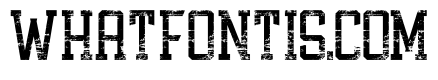 Athletic Varsity Texture