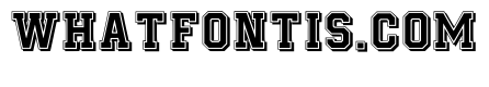 Athletic Jersey Regular