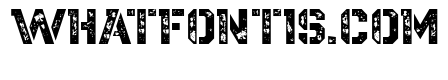Army Military