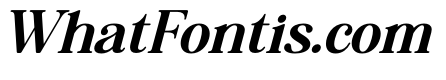 Archive Reborn Italic