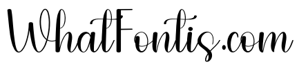 Anything Wedding