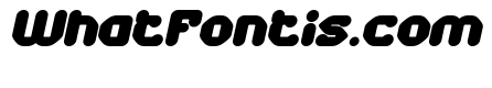 AMONG THE STAR Bold Italic