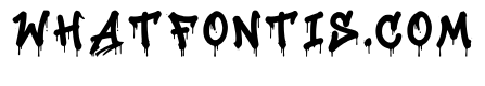 Alyssum Regular