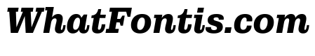 Municipal Municipal Bold Italic