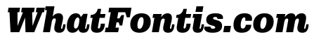 Municipal Municipal Black Italic