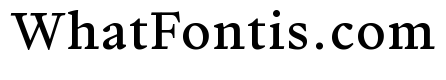 Writer Variable Regular 6