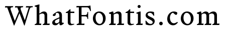 Writer Variable Regular 5