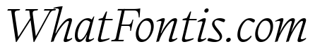 Writer UltraLight Italic