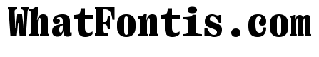 Right Serif Mono Variable 7