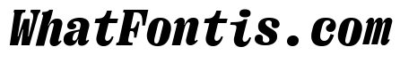 Right Serif Mono Italic Variable 7