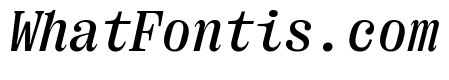 Right Serif Mono Italic Variable 4