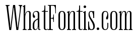 Right Serif Variable 8