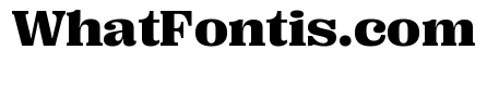 Right Serif Variable 41