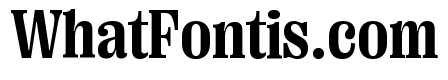 Right Serif Variable 26