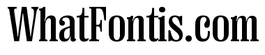 Right Serif Narrow Variable 4