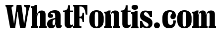 Right Serif Compact Variable 6