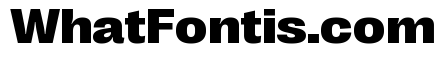 Right Grotesk Variable 41