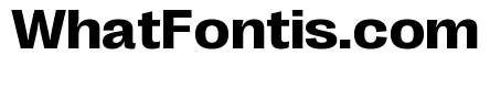 Right Grotesk Variable 40