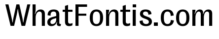 Right Grotesk Variable 31