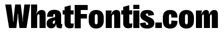 Right Grotesk Variable 28