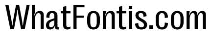 Right Grotesk Variable 24