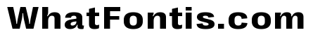 Right Grotesk Text Wide Variable 4