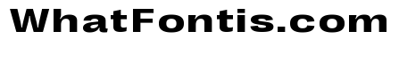 Right Grotesk Text Spatial Variable 4