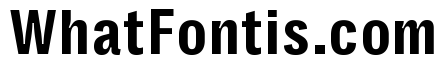 Right Grotesk Text Compact Variable 4