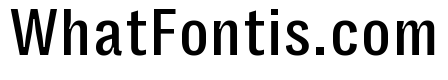 Right Grotesk Text Compact Variable 3